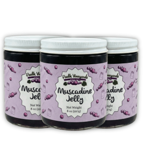 Muscadine Jelly- Case of 12